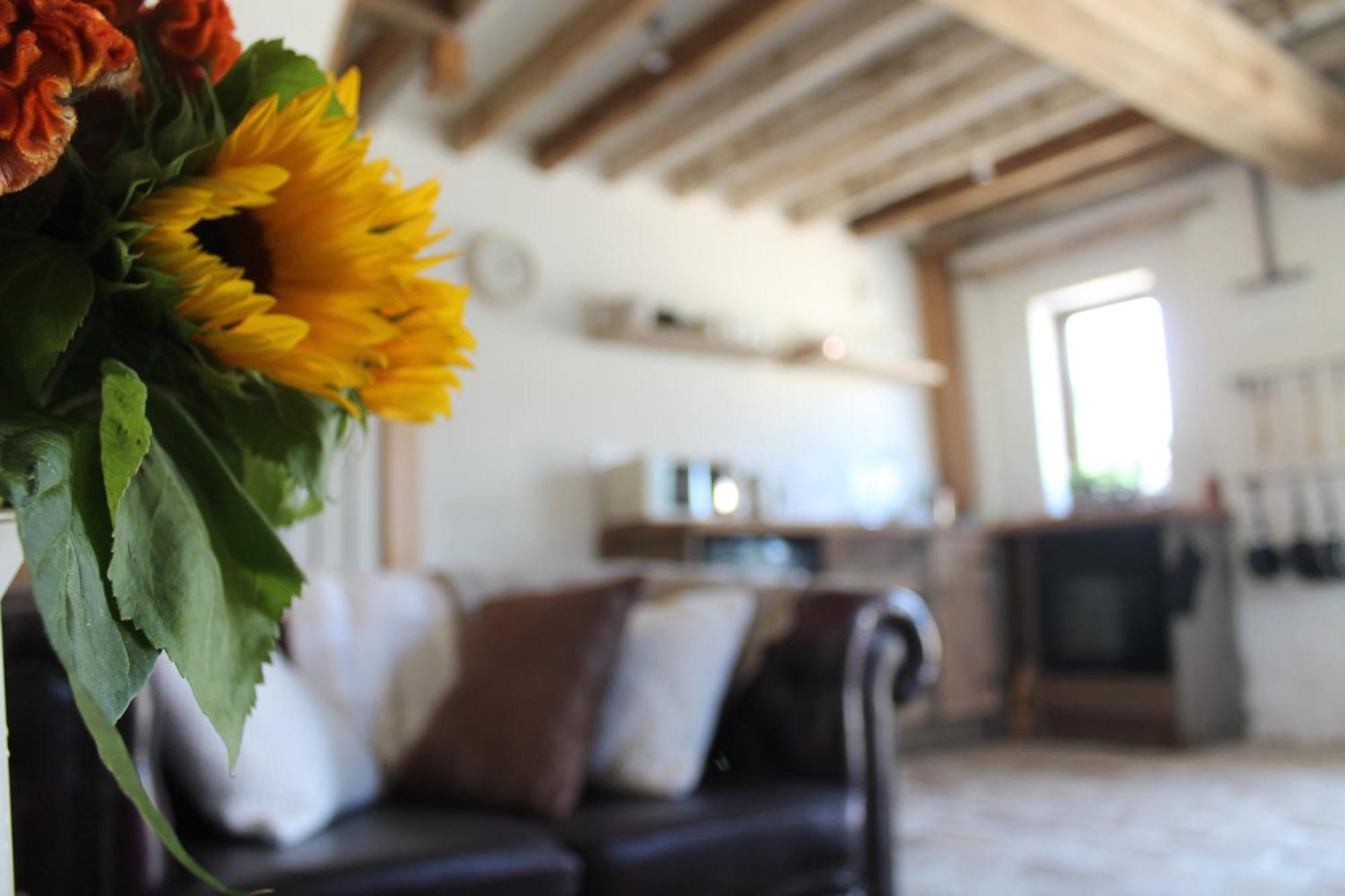 Villa The Dovecote - Unique Self-Contained 1Bed Renovated Barn Saffron Walden Esterno foto